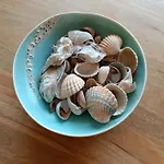 Gezellig Met Zeezicht En Garage *