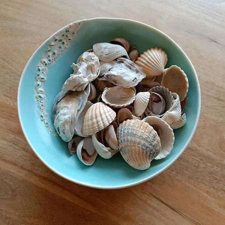 Gezellig Met Zeezicht En Garage *