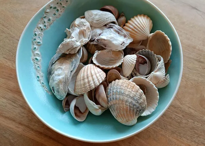 Gezellig Met Zeezicht En Garage *